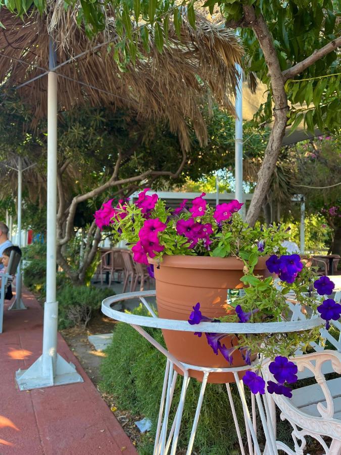 Theodorou Beach Hotel Apartments Psalidi  Esterno foto