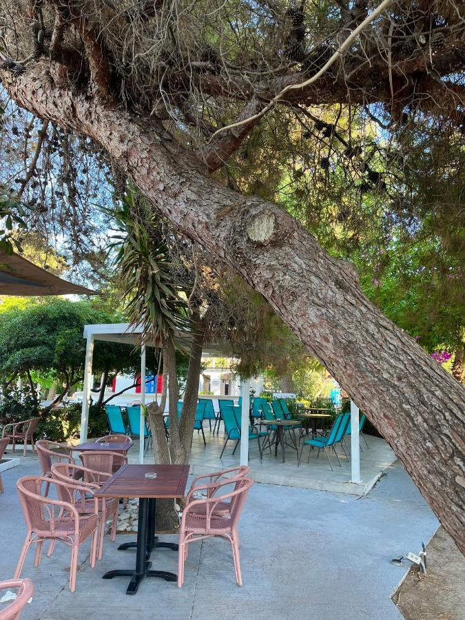 Theodorou Beach Hotel Apartments Psalidi  Esterno foto