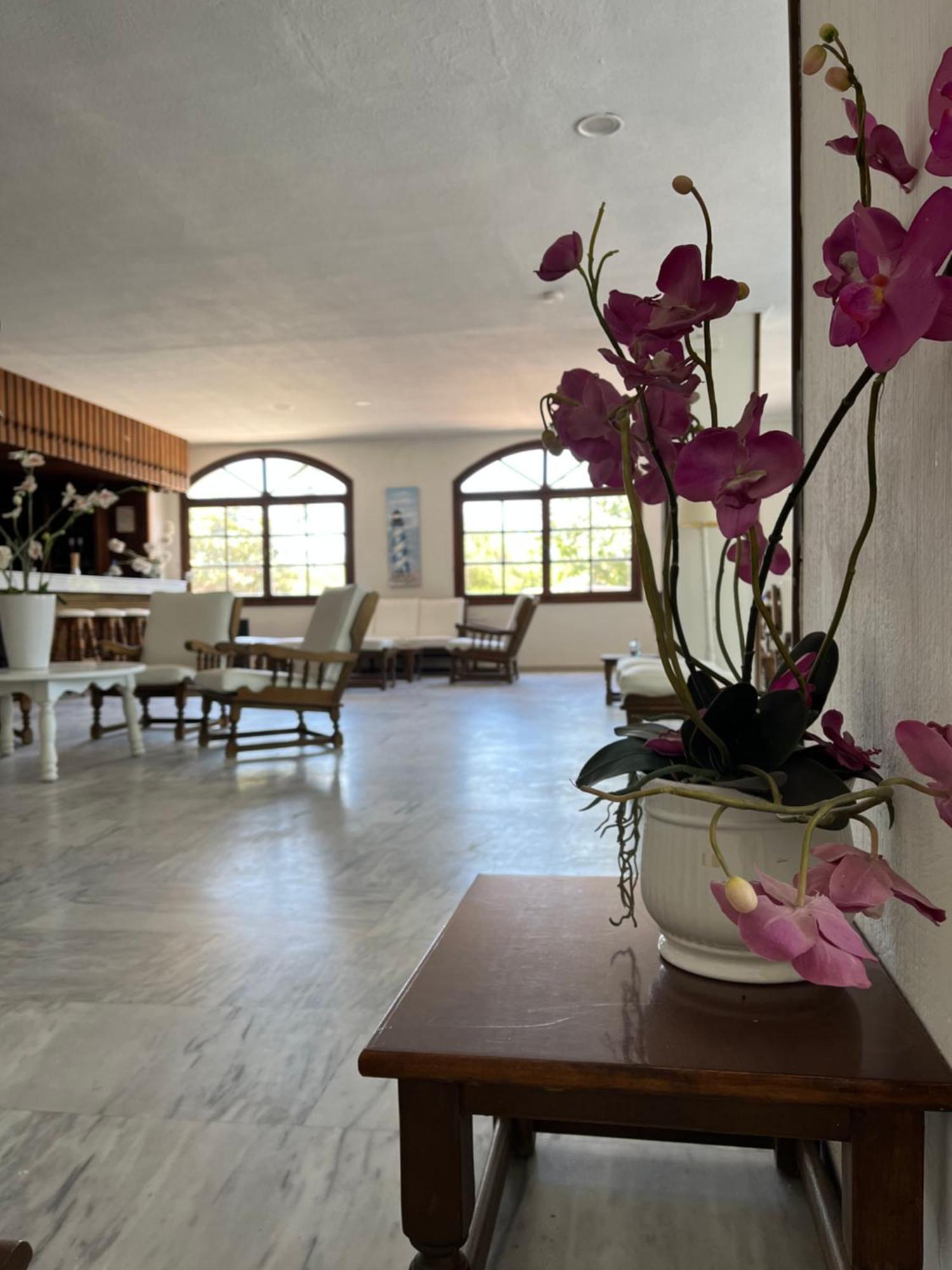 Theodorou Beach Hotel Apartments Psalidi  Esterno foto